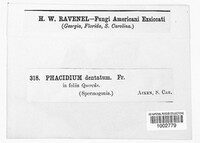 Image Associated With the Occurence